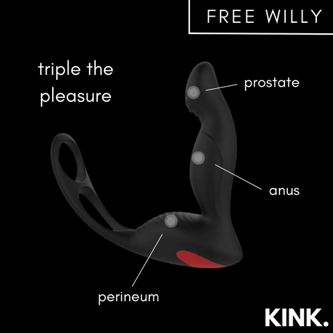 Backdoor Bliss with Free Willy Prostate Massager
