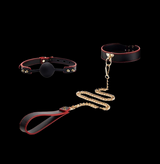 Take control with Guidance - a leash, collar and gag ball set made of high-quality vegan leather and metal closures